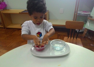 VP - Transpor com Esponja - Benjamin