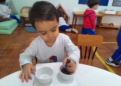 VP - Transpor com Pegador - Miguel